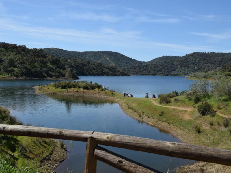 Tejadilla Casita Rural Cerca De Sevilla Con Piscina Luaran gambar